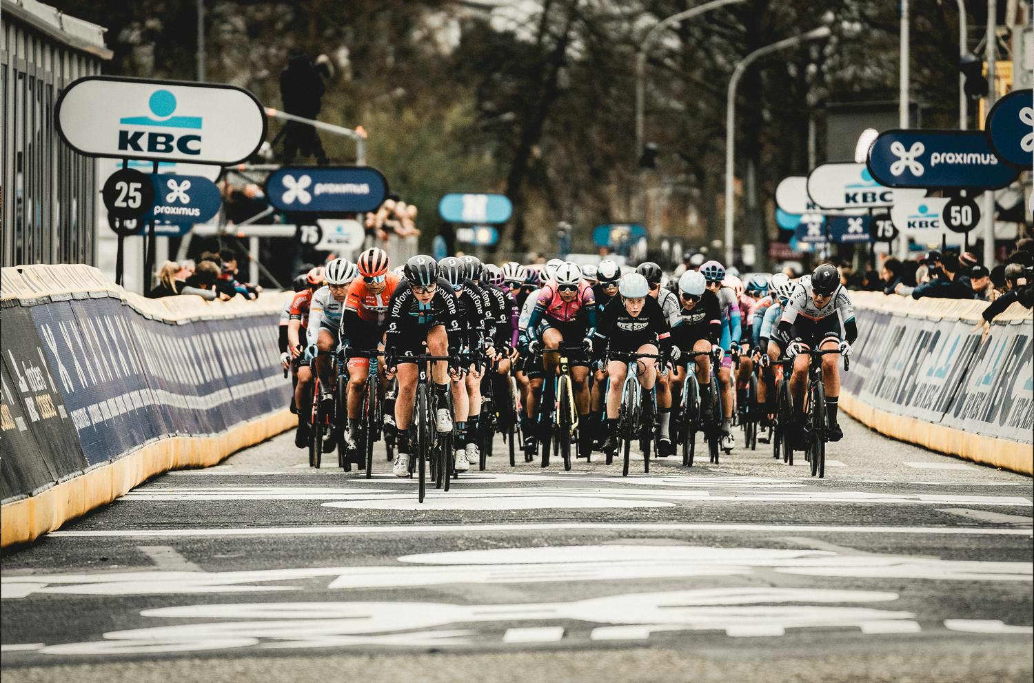 Experience Scheldeprijs as a VIP