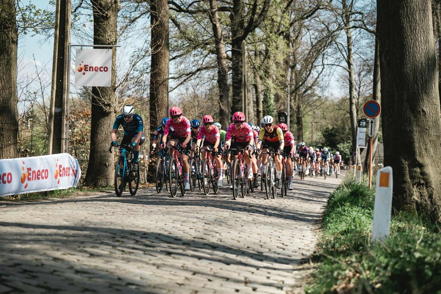 Experience Scheldeprijs as a VIP