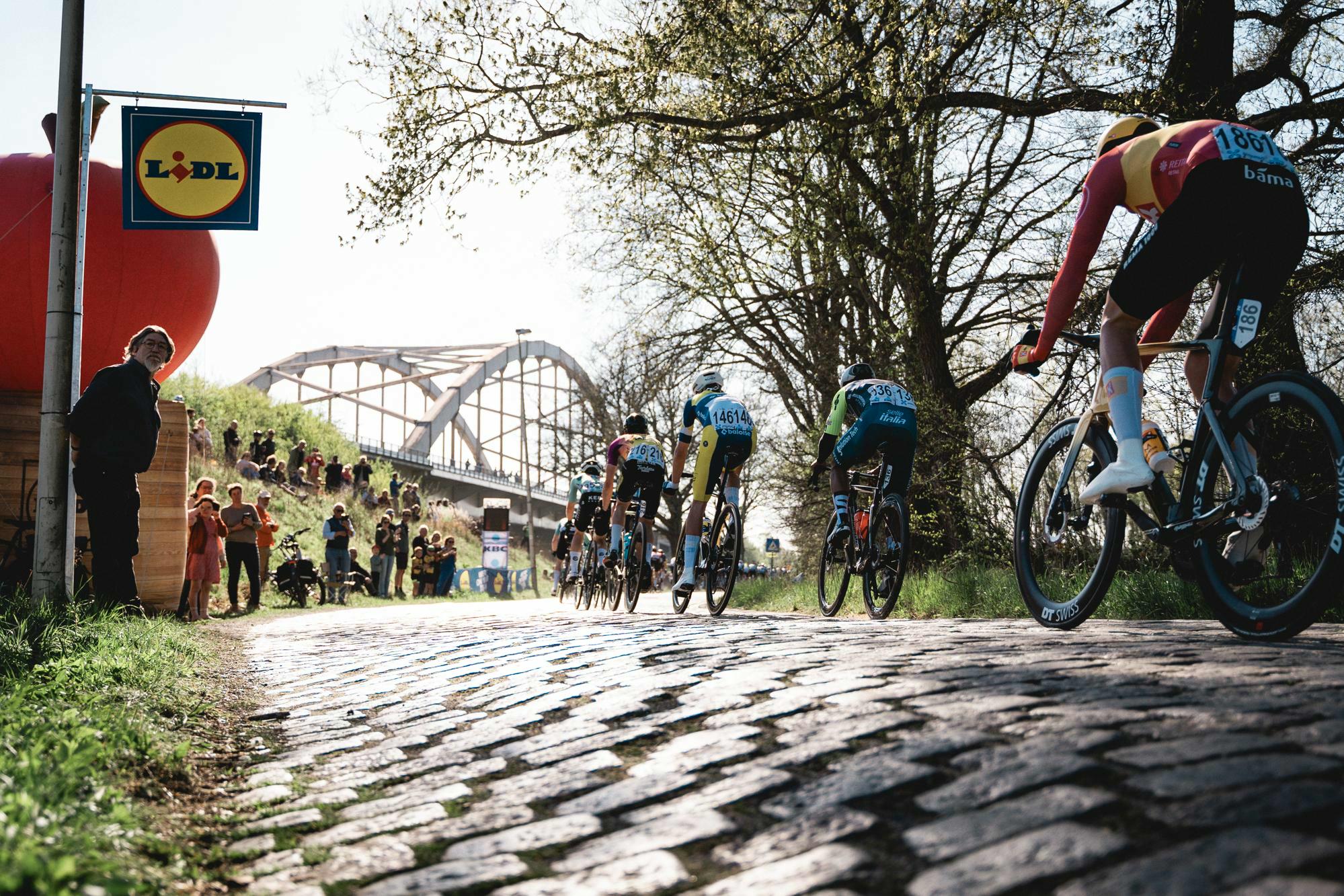 Op zoek naar de opvolgers van Merlier en Balsamo