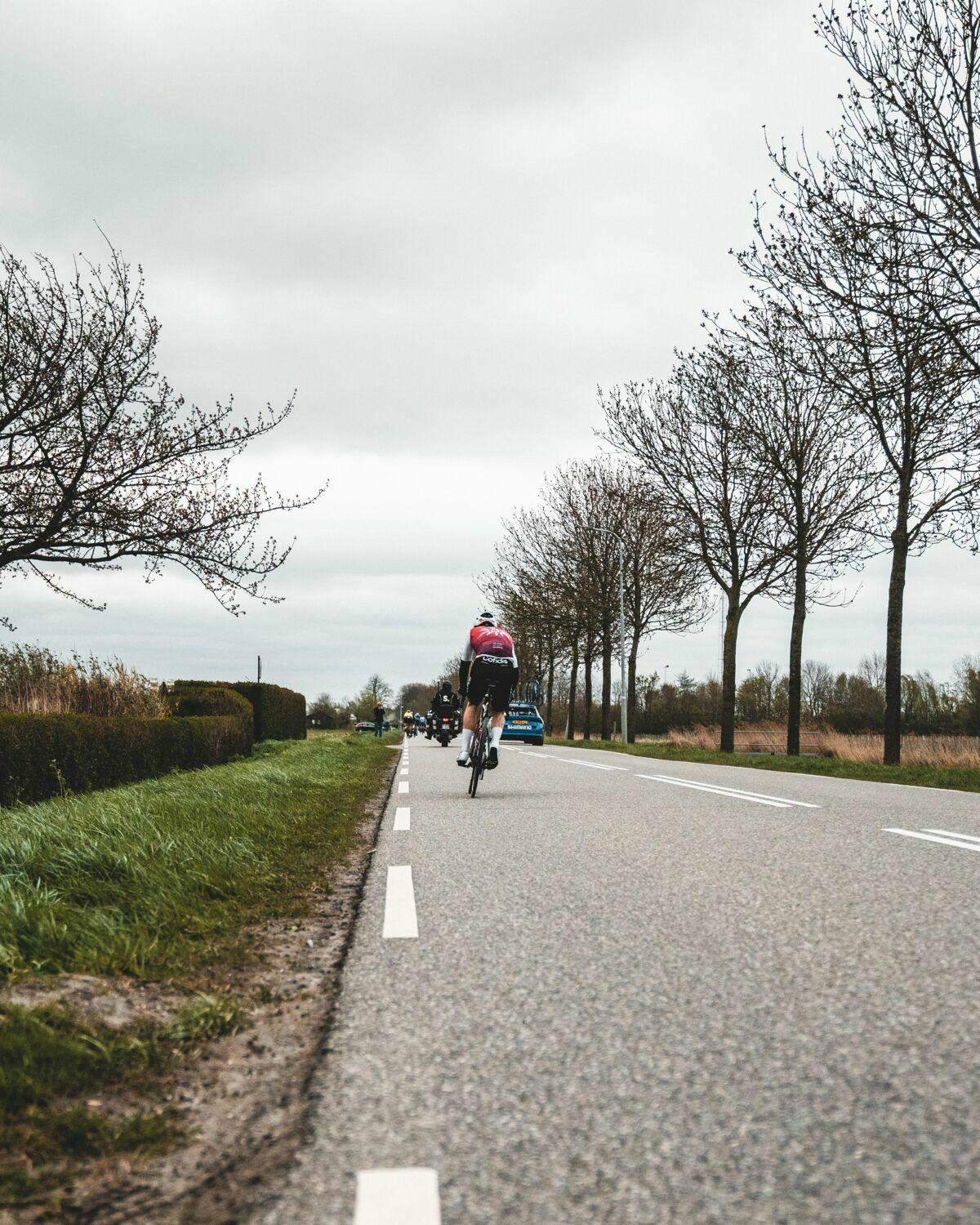 Be prepared for Scheldeprijs thanks to our fan guide